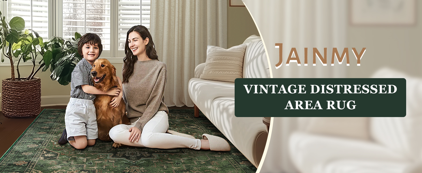 Jainmy vintage distressed area rug