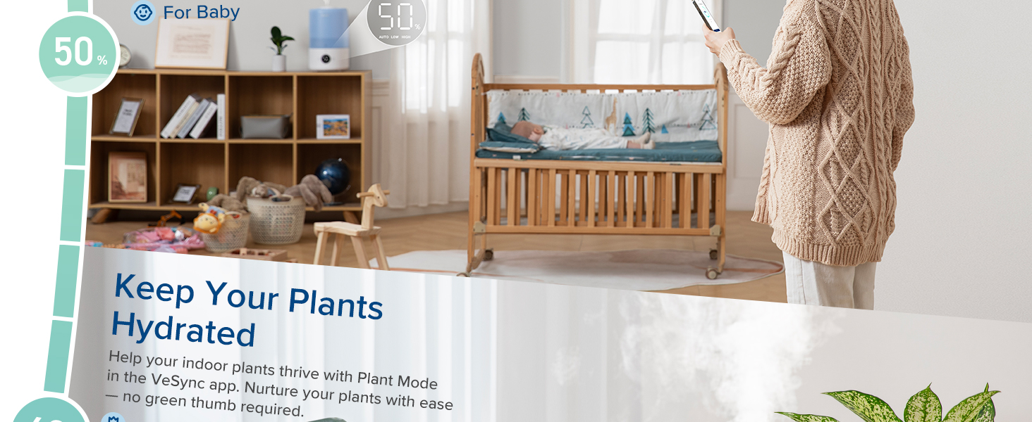 keep your plants hydrated