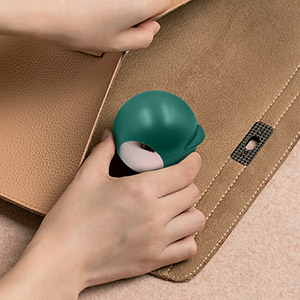 Lint Roller