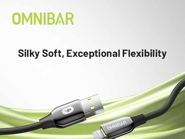 iPhone Charging Cable