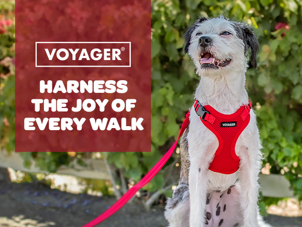 extra large dog harness large breed