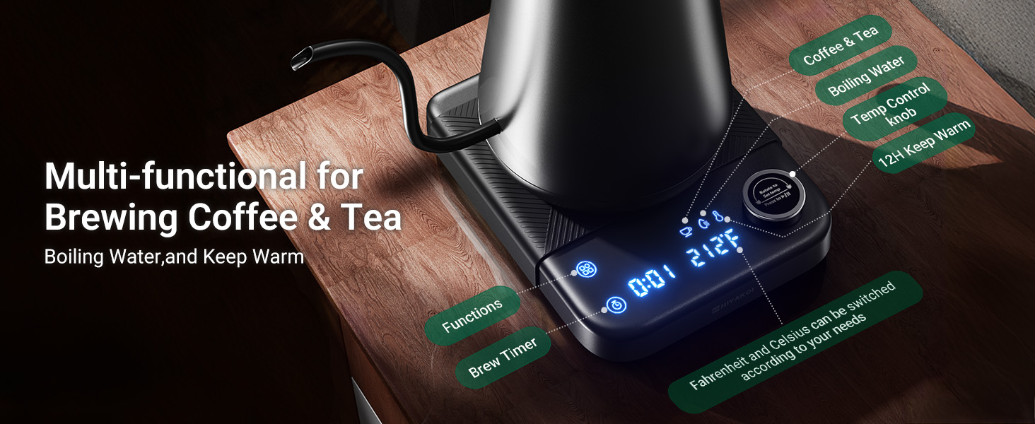 gooseneck kettle electric