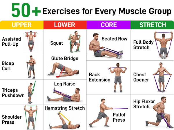 50+ Exercisesfor Every Muscle Group