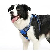Funfox Dog Harness No Pull, Adjustable Pet Vest Harness Blue M with Handle, 2 Leash Clips for Dai...