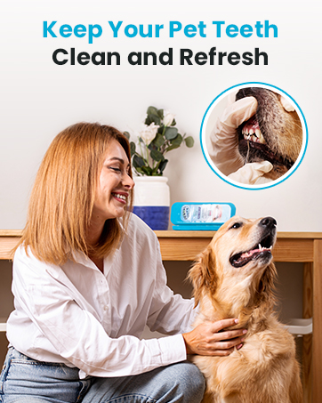 for pets teeth cleaning dental care tooth fresh clean hygiene