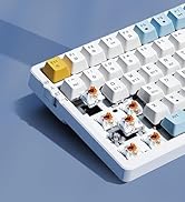Merdia Wireless Mechanical Keyboard, Triple Mode 2.4G/USB-C/BT Gaming Keyboard 100 Keys Ice-Blue ...