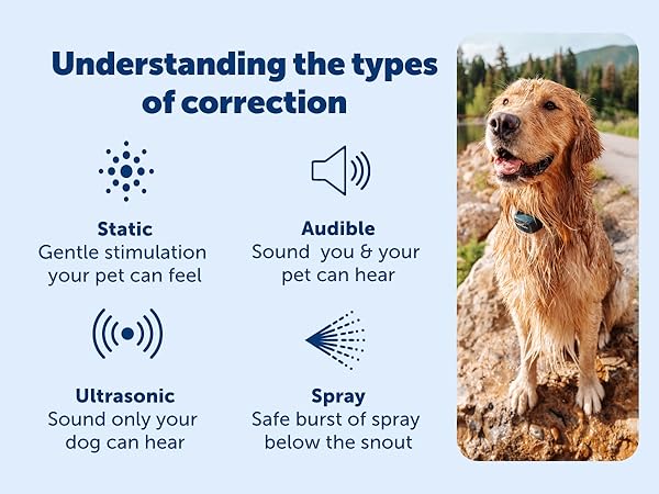 PetSafe Remote Training and Bark understanding the correction types static audible vibration spray