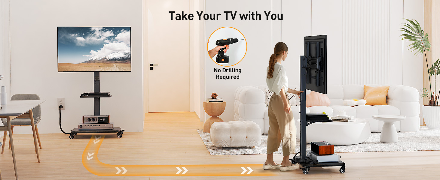 mobile TV stand