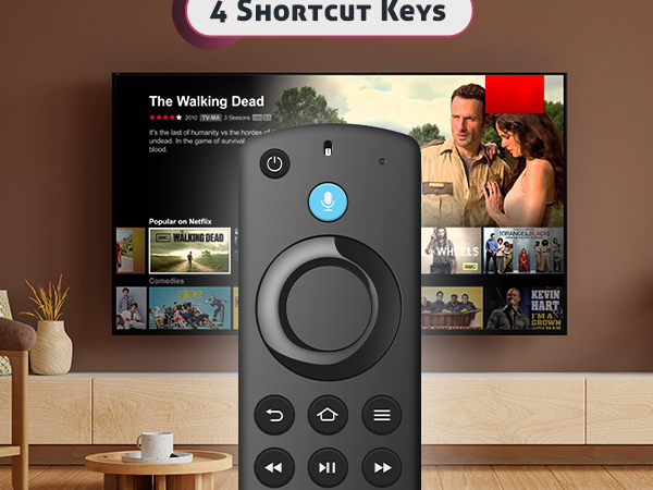 Replacement Voice Remote