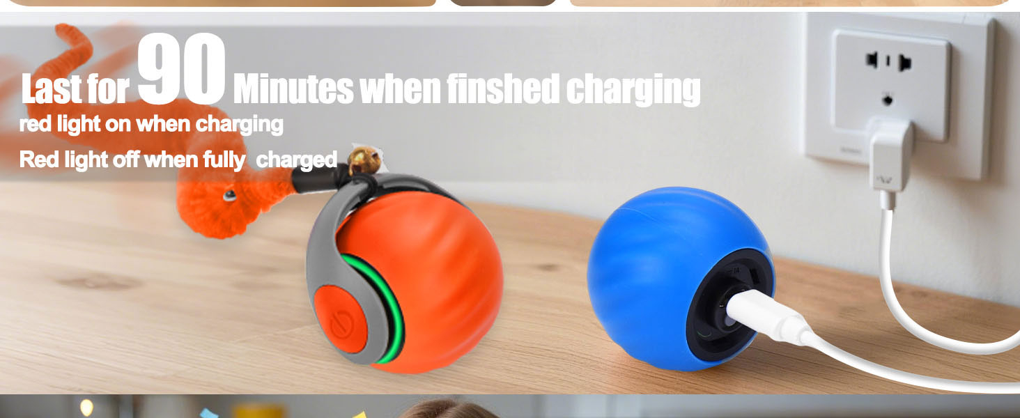 cat toy