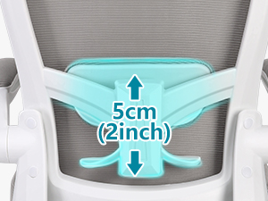 Dynamic Lumbar Support
