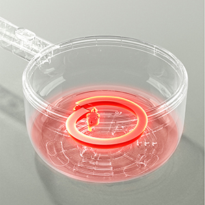 Rapid Noodles Cooker