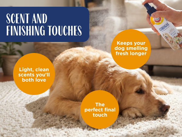 Scent and Finishing Touches