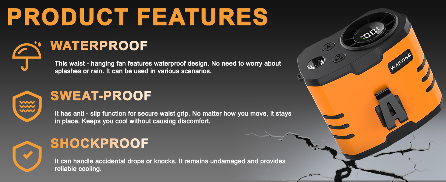 Feature Description