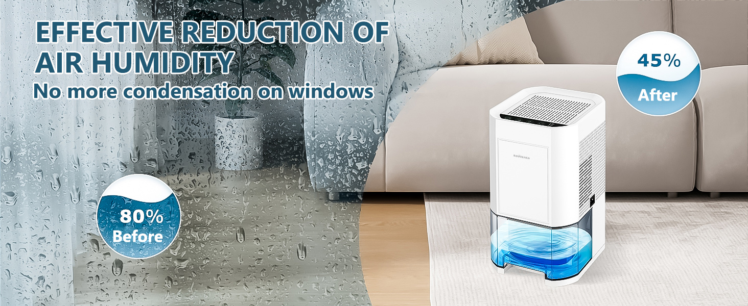 Dehumidifier for Home