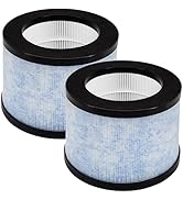 2-Pack DH-JH01 True HEPA Replacement Filter, Compatible with AROEVE and Kloudi DH-JH01 Air Purifi...