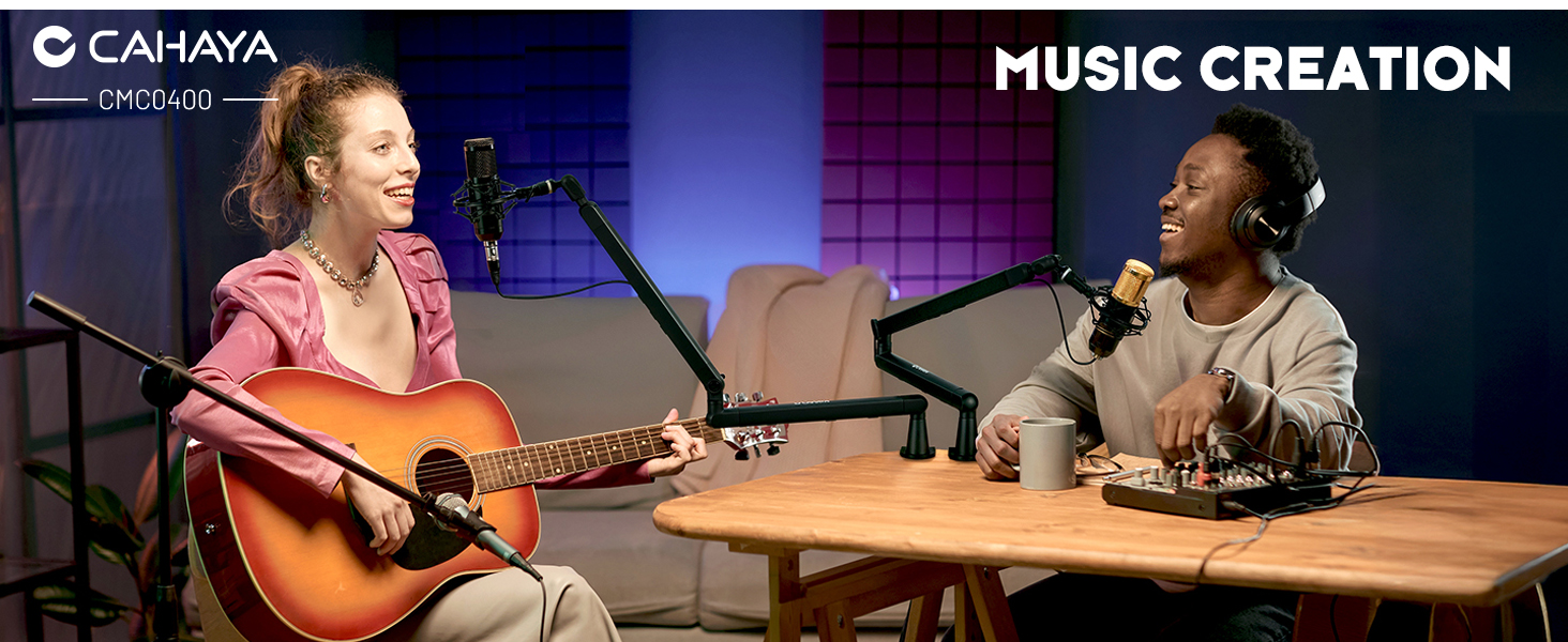 Live streaming mdesk mic arm