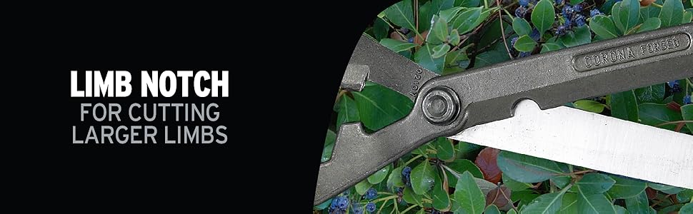 Limb notch for larger limbs