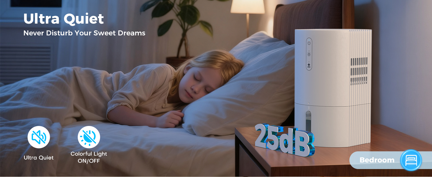 Quiet dehumidifier for home