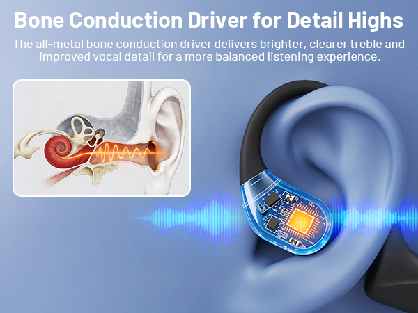 Bone Conduction Driver