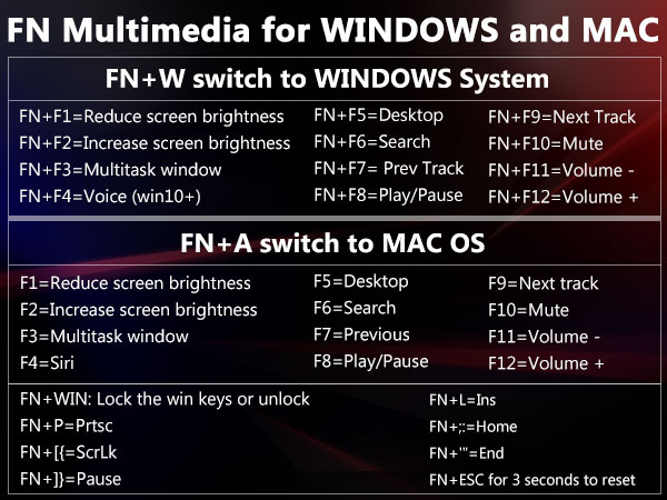 multimedia
