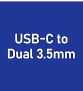 USB-C to Dual 3.5mm