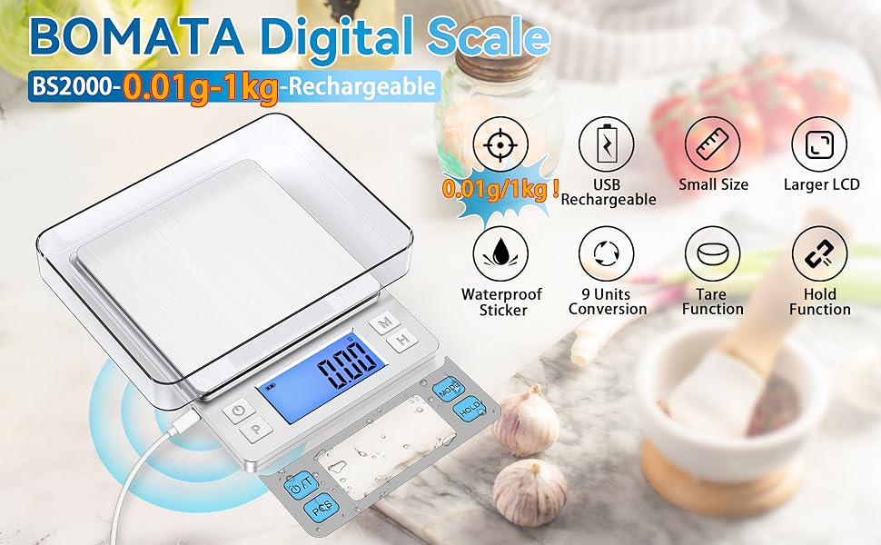 BS2000-0.01g-1kg A+