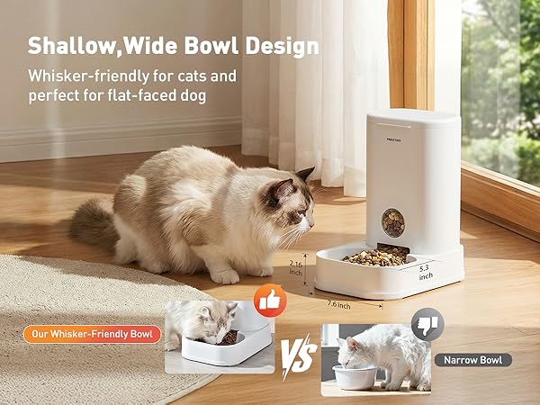 cat food dispenser automatic