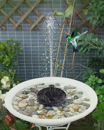 solar bird bath