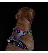 LED Light Up Dog Harness: USB Rechargeable Glowing Waterproof Reflective No Pull Adjustable Oxfor...