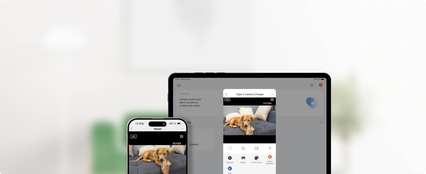 any device remote view