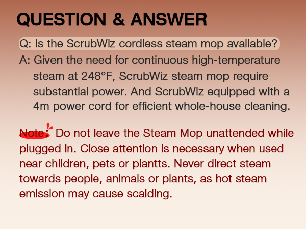 steam mop