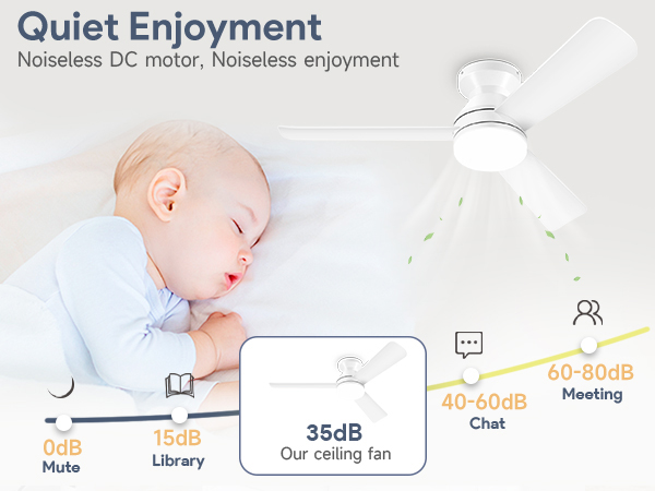 ceiling fan