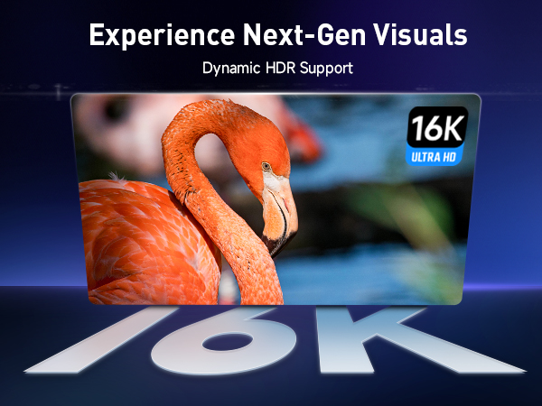 thunderbolt to displayport 2.1