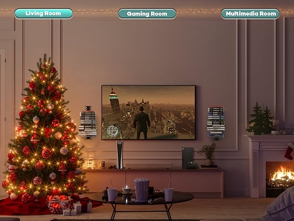 disc storage living room