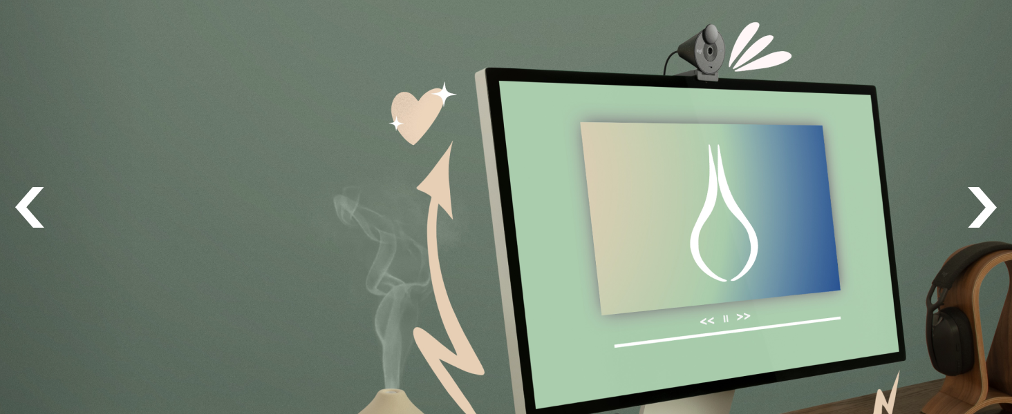 brio 300 full hd 1080p webcam