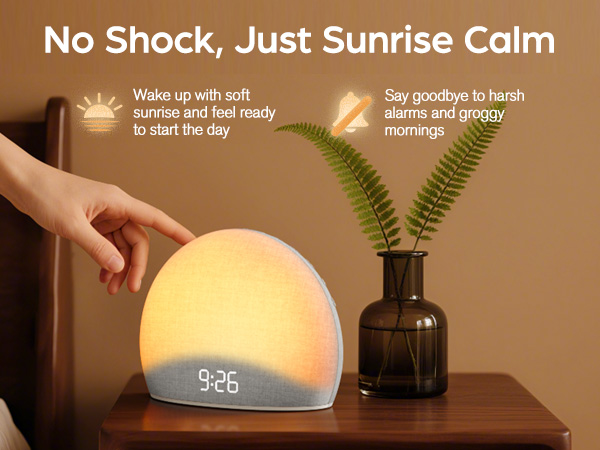 sunrise alarm clock