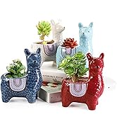 Peohud 4 Pack Animal Succulent Planter Pots, 3.4 Inch Cute Alpaca Llama Flower Planter Pots with ...