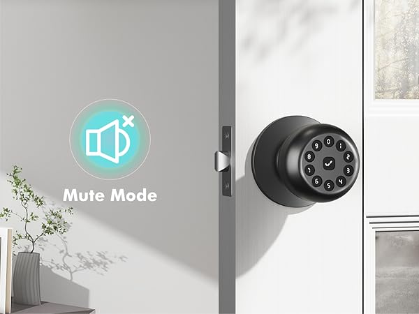 Mute Mode Smart Lock