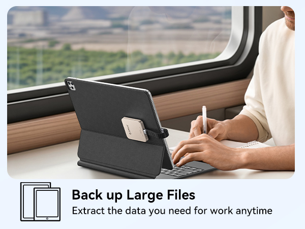 compatible with iPad