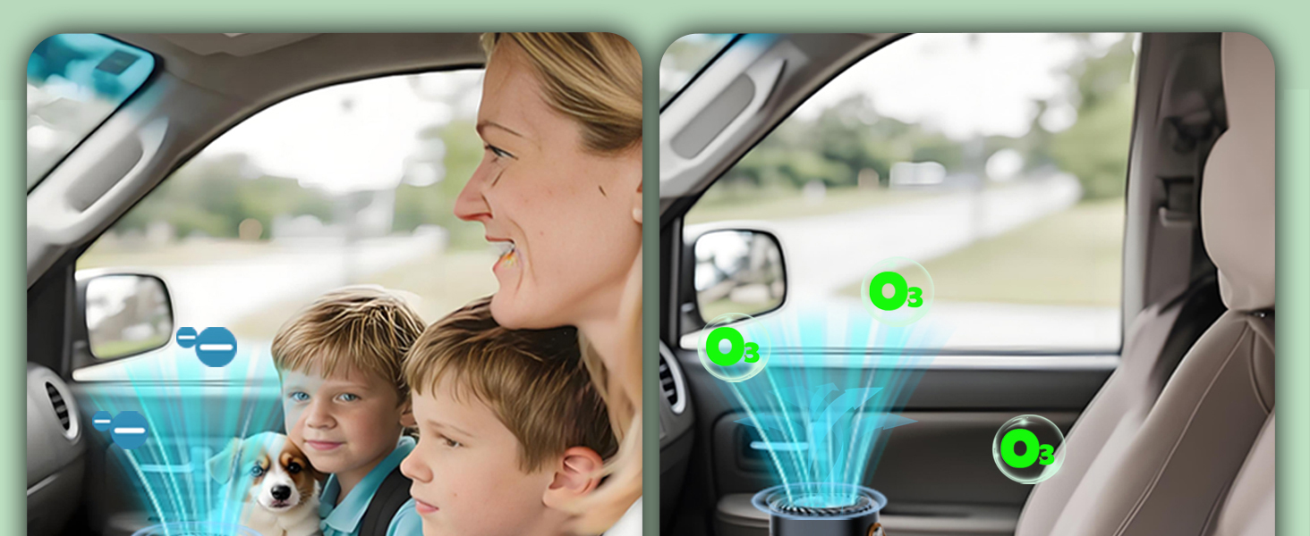 car odor eliminator