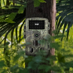 game cameras