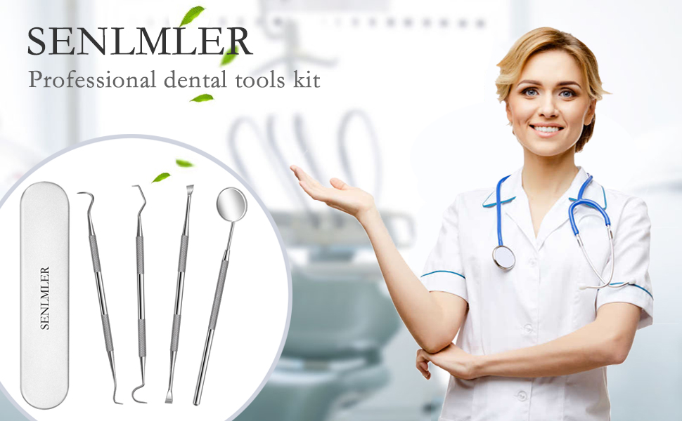 senlmler teeth picks floss tools cleaning kit dental floss tartar dentis pick tools set