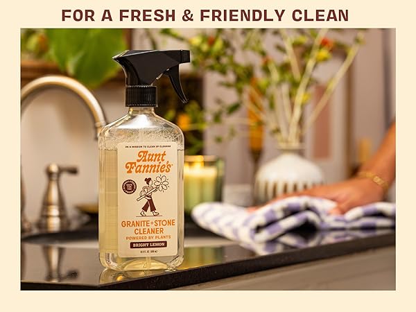 pink disinfectant toilet cleaner vinegar stainless steel