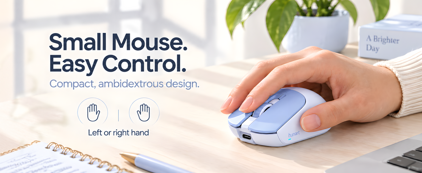 Small Mouse