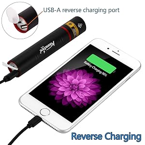reverse charging