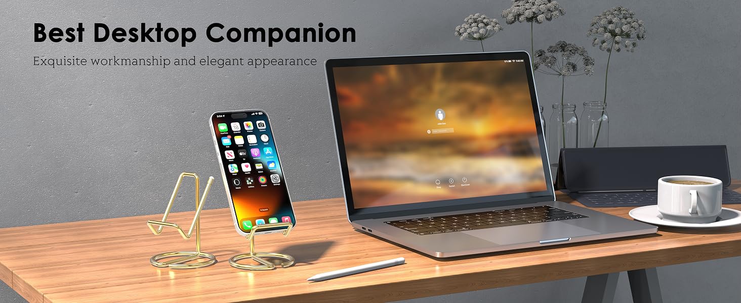 Best Desktop Companion