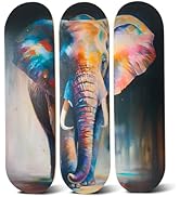 Canvas Wall Art – Abstract Elephant Art on Skateboard Decks - Living Room Decor for Wall - Home, ...