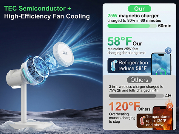 TEC Semiconductor + High-Efficiency Fan Cooling