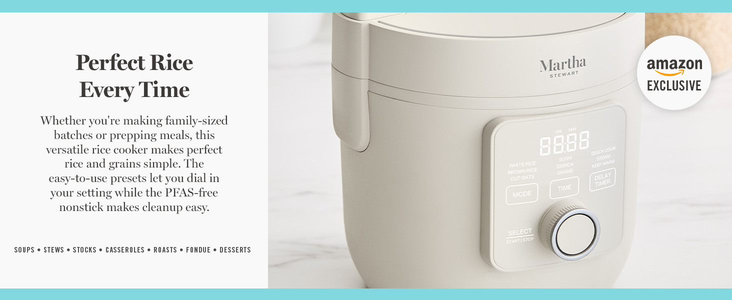martha stewart, electrics, rice cooker